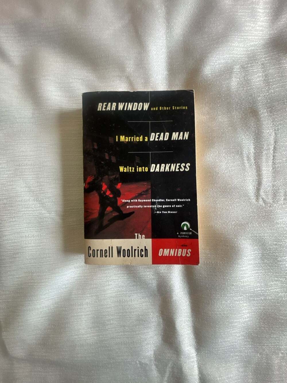 Rear Window and Other Stories, I Married a Dead Man, Waltz into Darkness